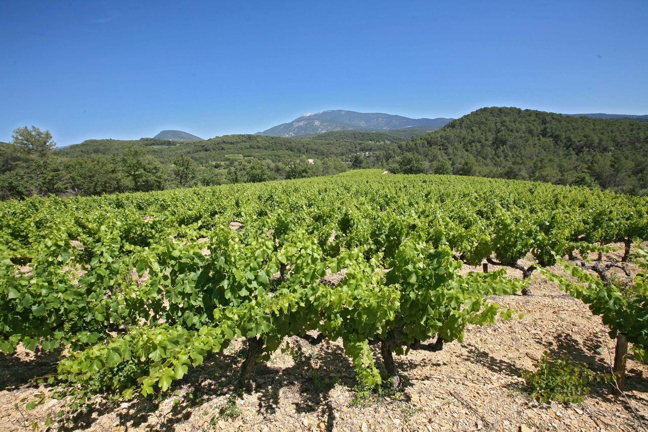 Auberge Les Olivades Mallemort Esterno foto